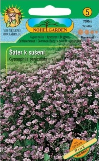 Gypsophila paniculata ružová - na sušenie