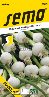 Cibuľa biela jarná RANILA zväzk. 1,5g S