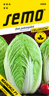 KAPUSTA PEKINSKÁ MANOKO F1 40s
